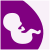 BBGAGA.com Icon